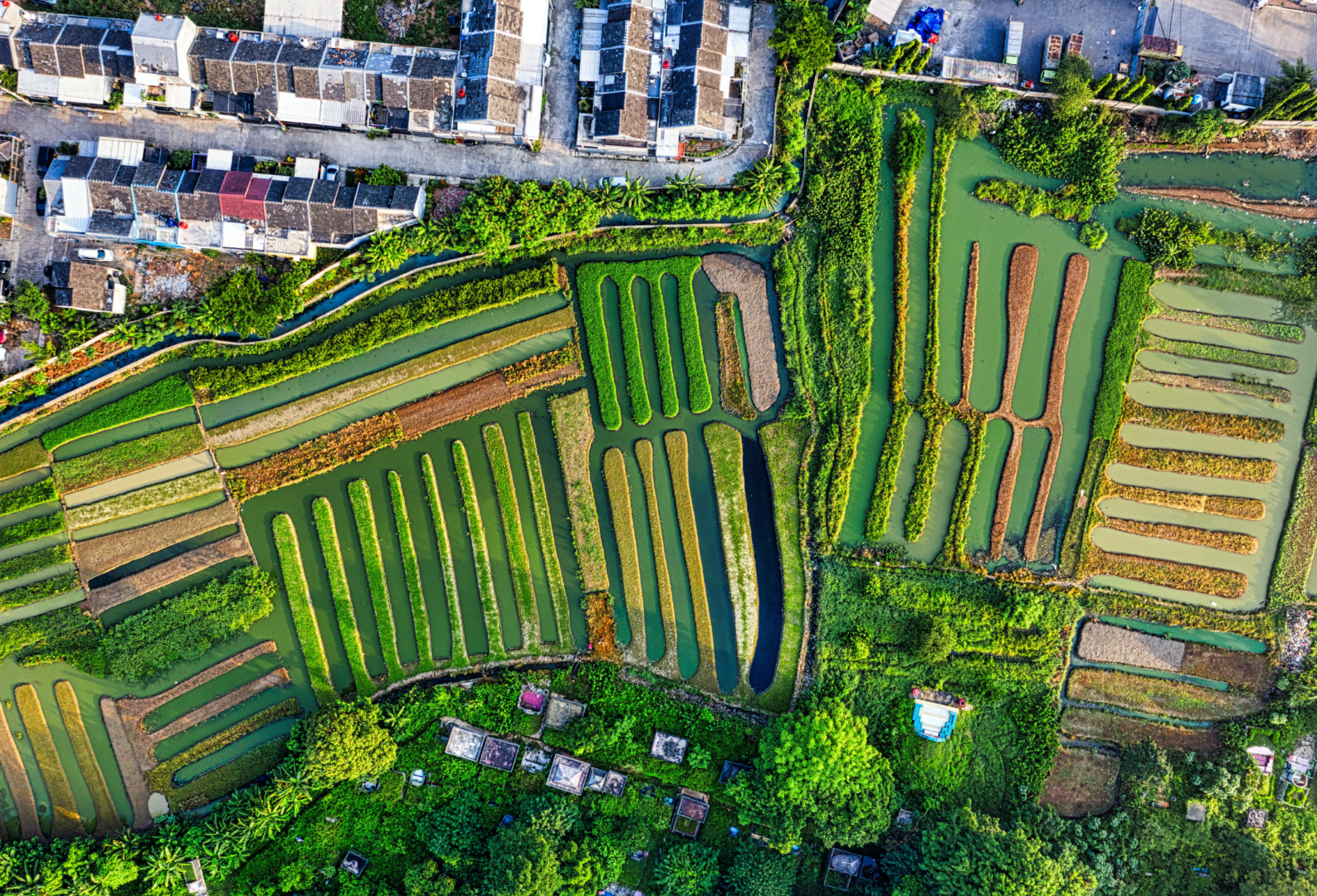 Biodiversité