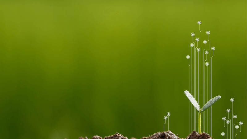 arbre représentant le réseau d’indicateurs RSE et la structuration EcoVadis